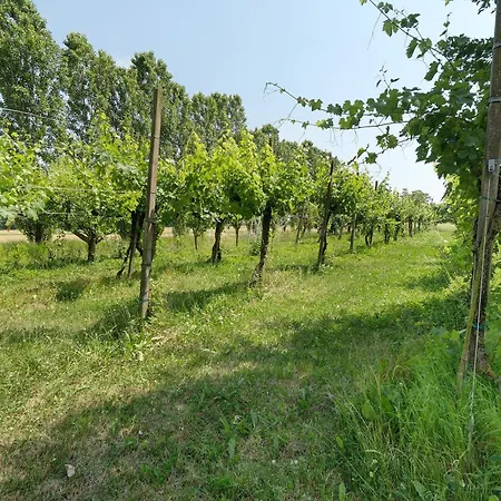 Farmház Amoler Mirano